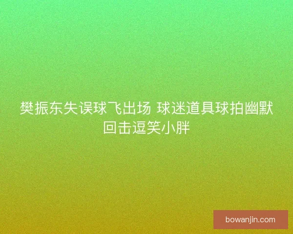 樊振东失误球飞出场 球迷道具球拍幽默回击逗笑小胖